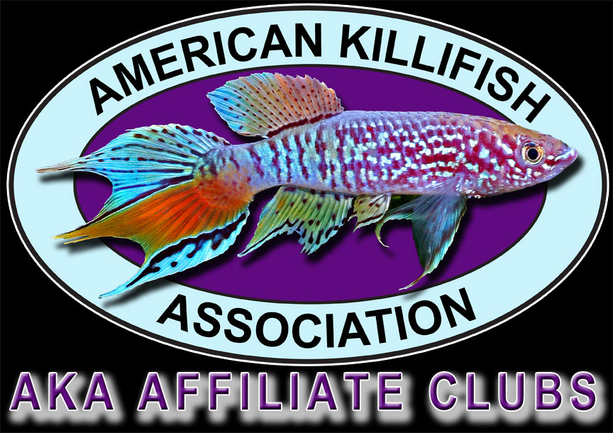AKA Logo Picture